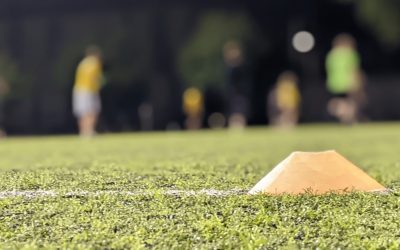 Announcement of New 2025 WODS Membership Fee